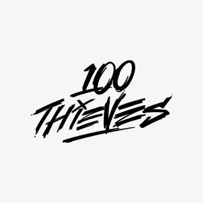 100thieves.com logo