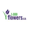 1-800 Flowers Canada logo