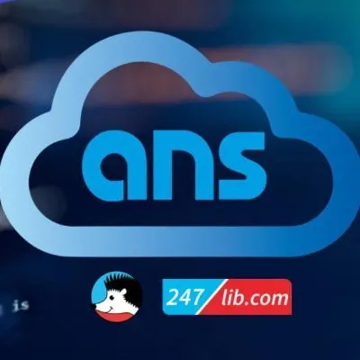Applied Network Solutions logo