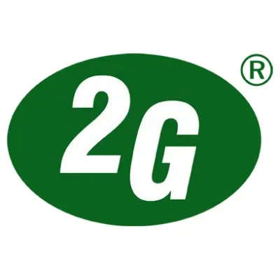 2G Energy AG logo