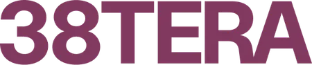 38TERA logo
