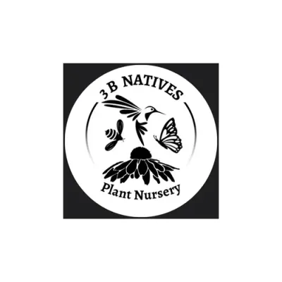 3bnatives