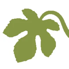 Adam Logo