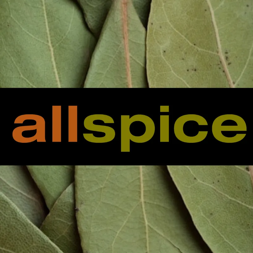 AllSpice Logo