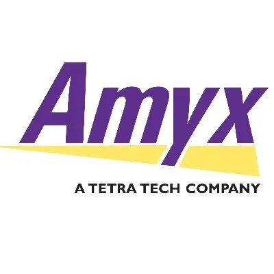 Amyx Logo