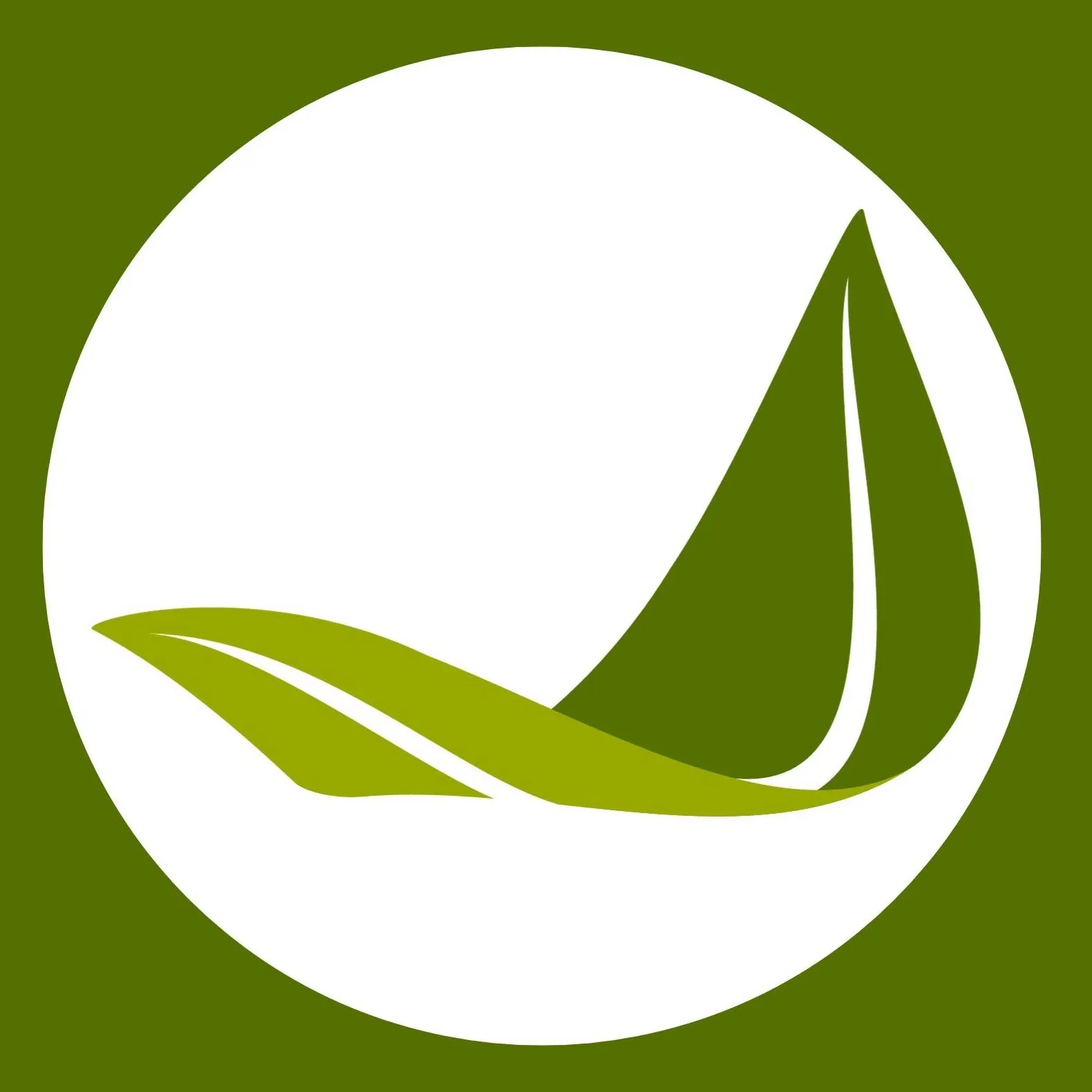 BiOptimizers Logo
