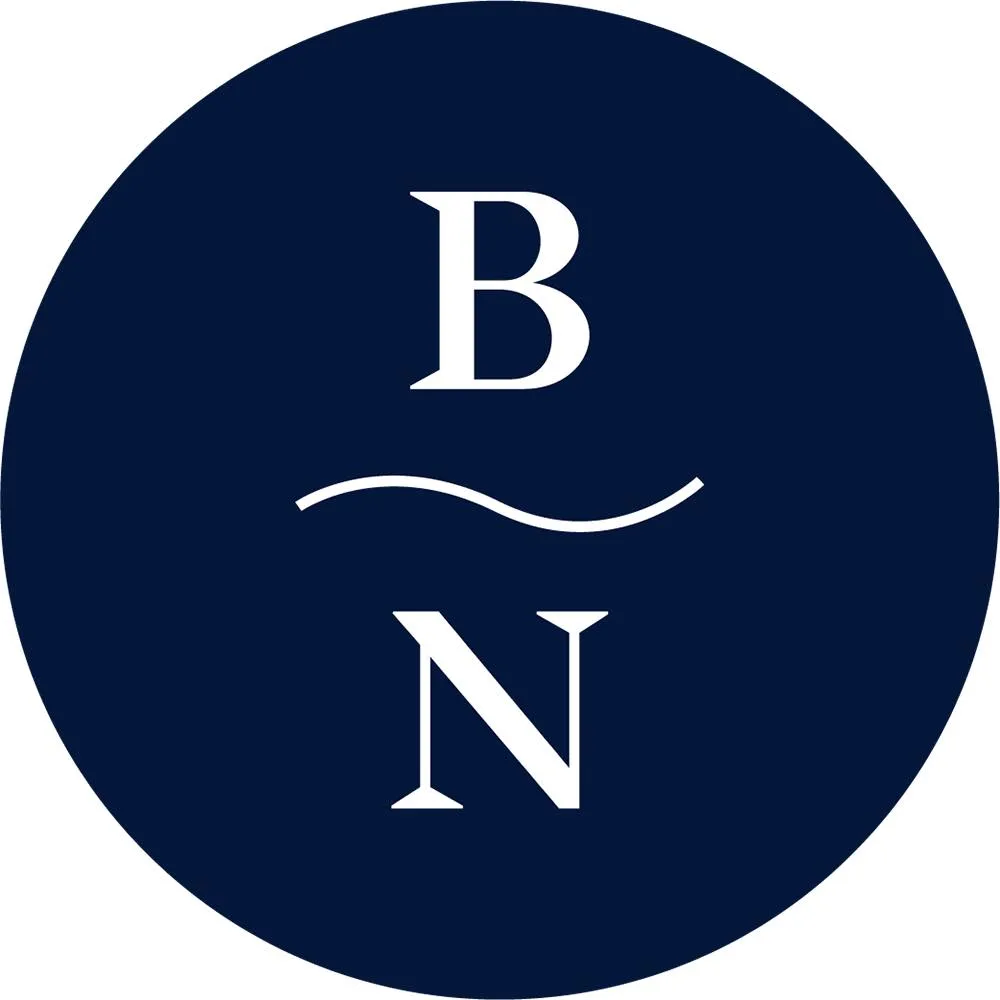 Blue Nile Logo