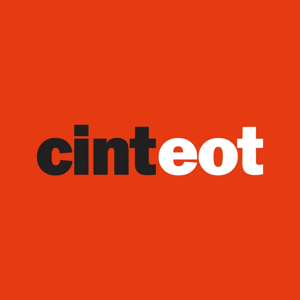 Cinteot Logo