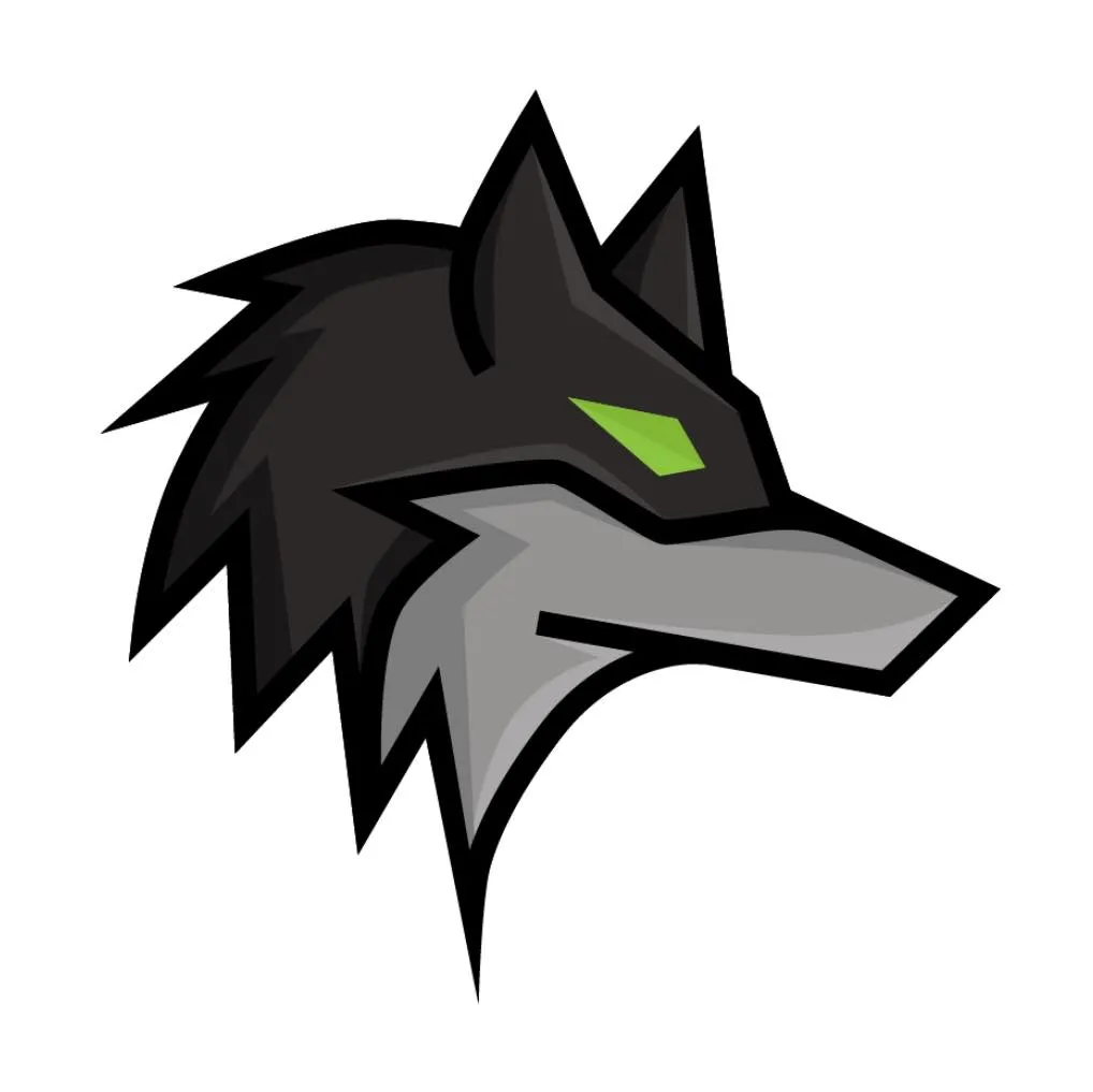 Dark Wolf Solutions Logo