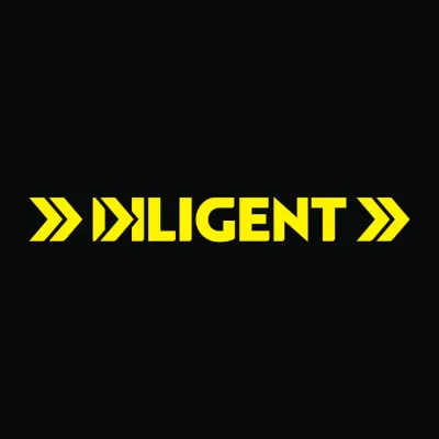 Diligent Robotics Logo