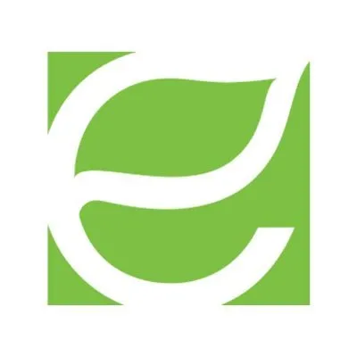 Energy Focus logo