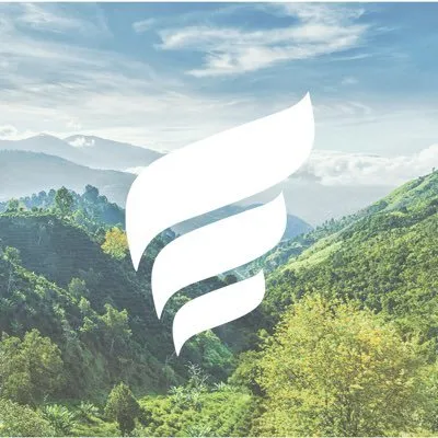 New Fortress Energy logo