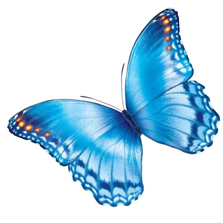 Nationwide Children's Hospital Logo