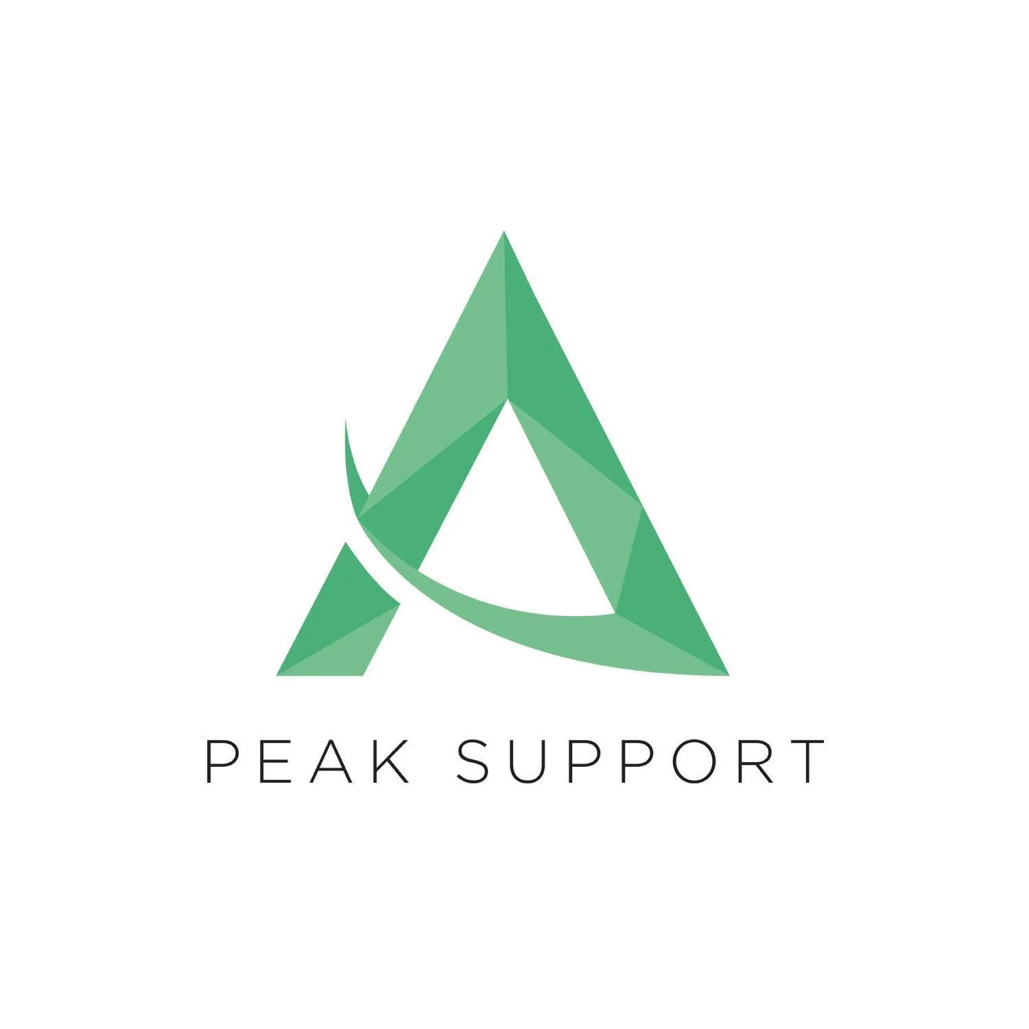 Peak Support Logo