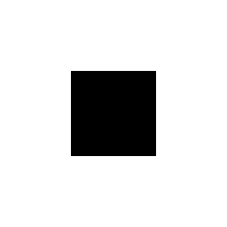 Perform Logo
