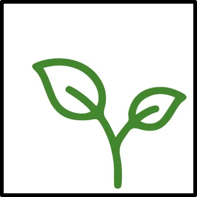 Sepal AI Logo