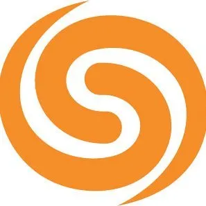 SkillStorm Logo