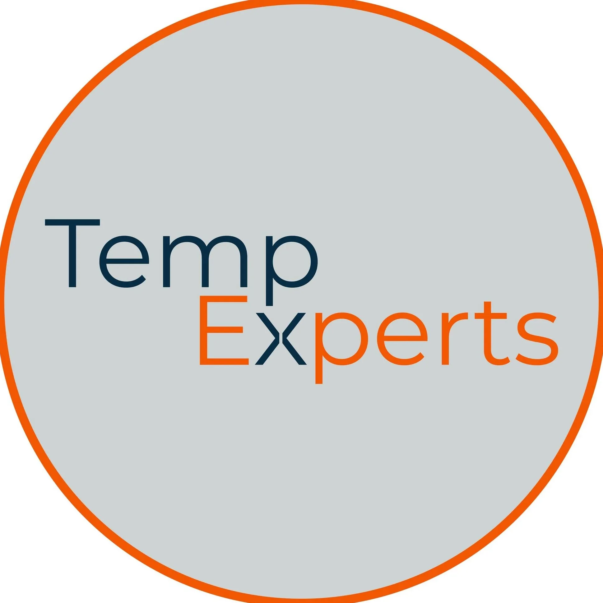 Temp Experts Logo
