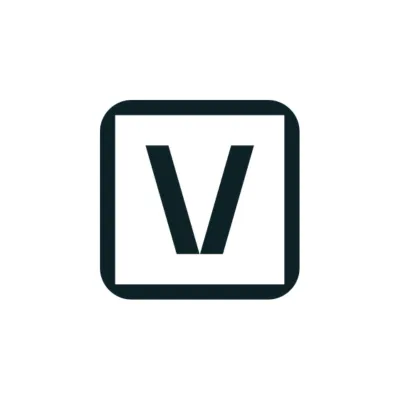VusionGroup Logo