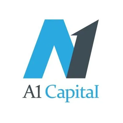 A1 Capital Menkul Degerler AS logo