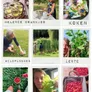 Logo B&B Aan de Groene Zoom