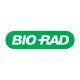 Rad Academy