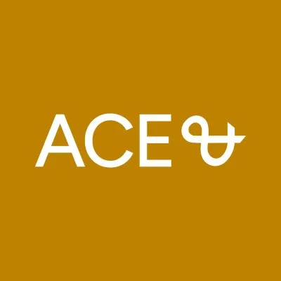 Ace & Company logo