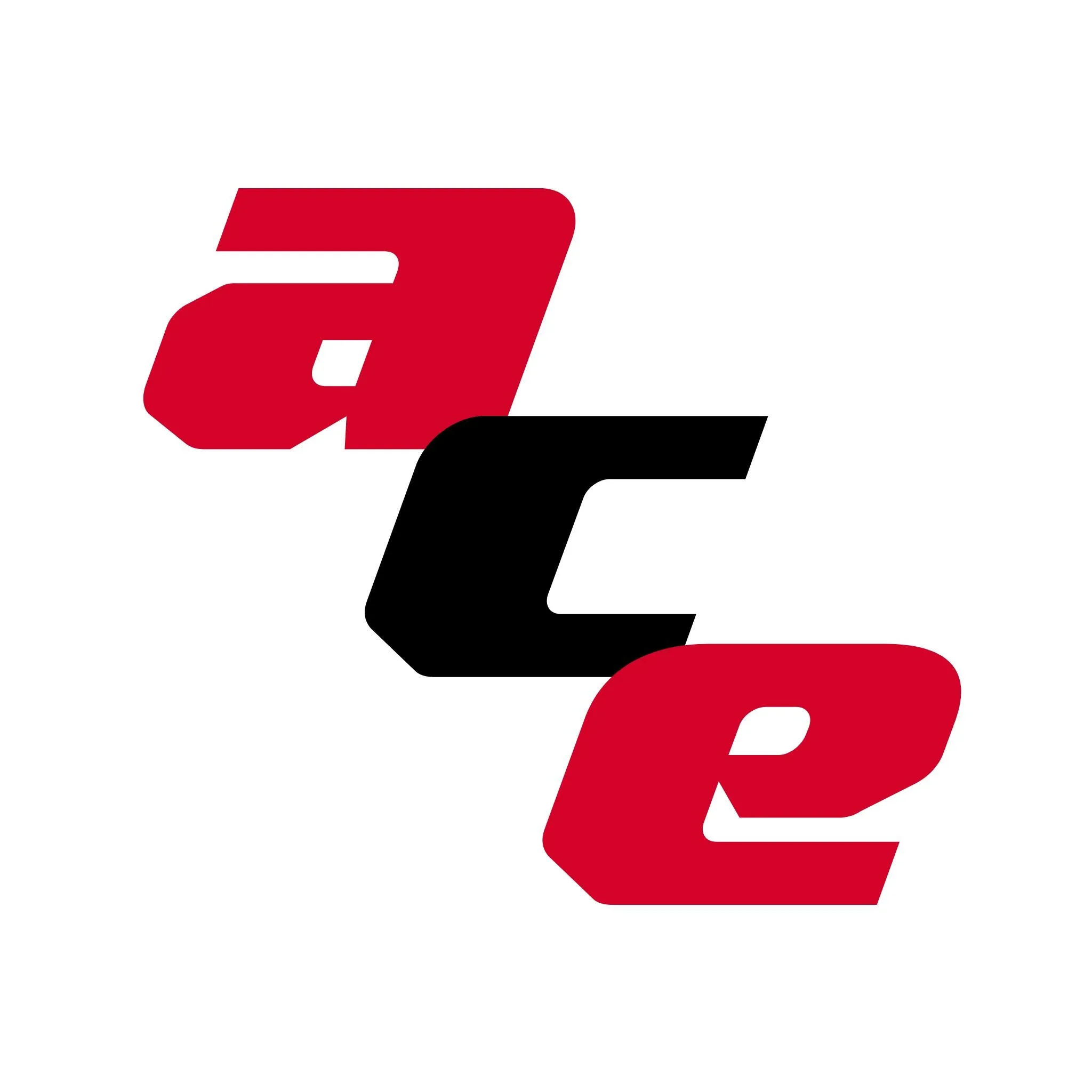 Acegaragestorage
