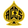 Acesefi logo