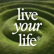 Aerie Logo