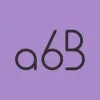 Agency 6