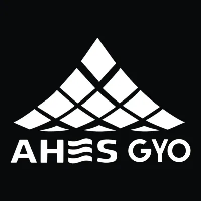 AHES GMYO logo