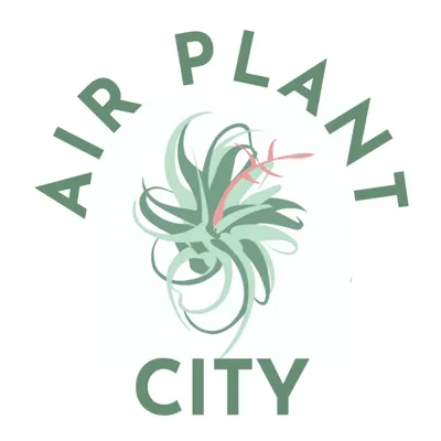 Air Plant City logo