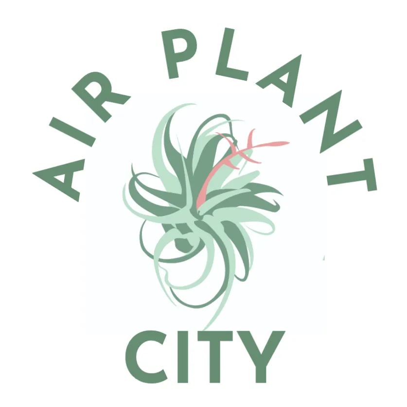 Airplantcity