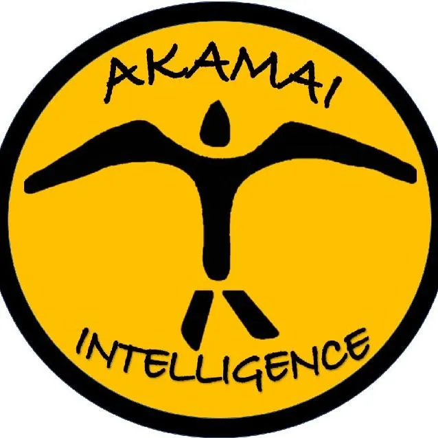 Akamai Intelligence logo