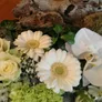 Logo All About Flowers