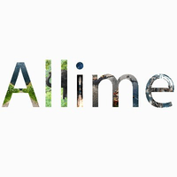 Allime Tech Solutions Private Limited logo