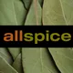 Allspice logo