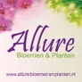Logo Allure - Heyhoefpromenade