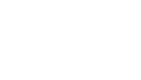 Ally light logo