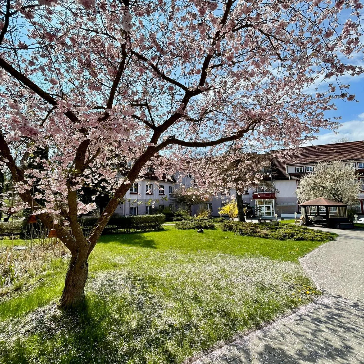 Alten- und Pflegeheim Bleichenkopf GmbH