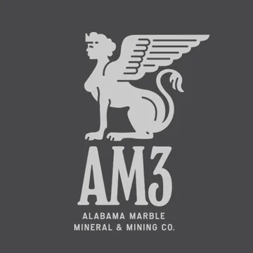 AM3 Stone