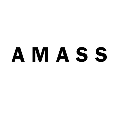 AMASS Store logo