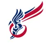American Media Partners, Ltd. logo