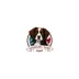 American Paws logo