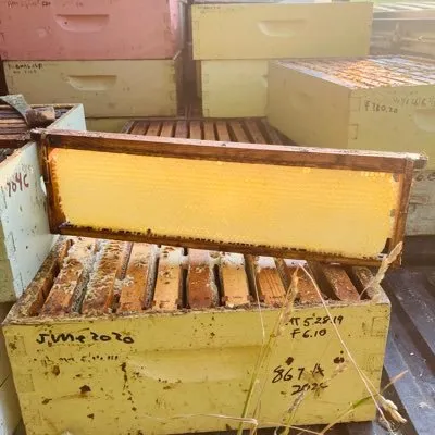 Amesfarm