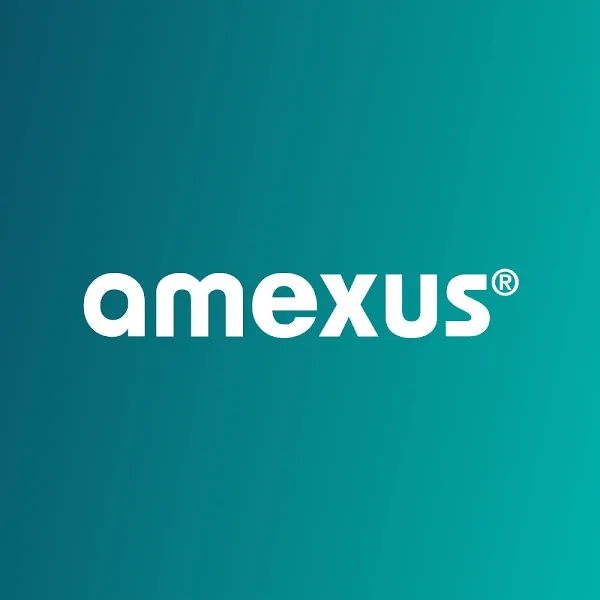 amexus Informationstechnik GmbH & Co. KG logo