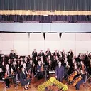 Amherst Symphony Orchestra logo