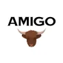 Logo Amigo - Dorpsstraat