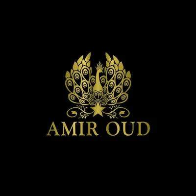 Amir Oud